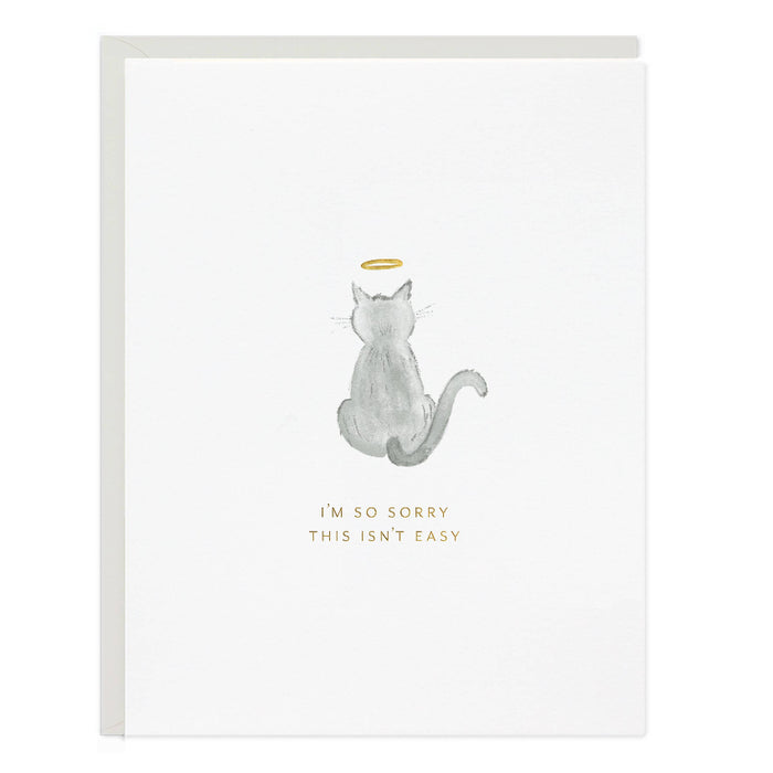 A sympathy card with a gray envelope, featuring a grayscale illustration of a cat with a halo and the text 'I'm so sorry this isn't easy'.