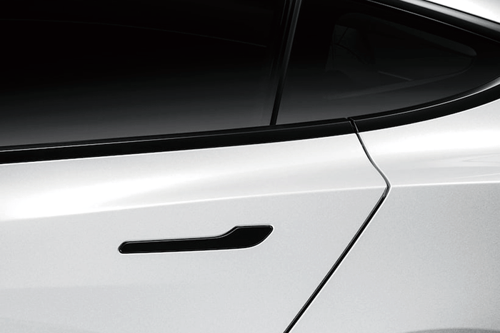 Anti-Virus Tesla Navigation Screen + Door Handle Protector - The Kare Lab