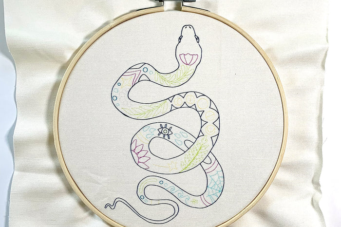 Bug-Eyed Co. Embroidery Kit - Snake