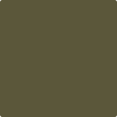 CSP-900: Jungle Canopy a paint color by Benjamin Moore avaiable at Clement's Paint in Austin, TX.
