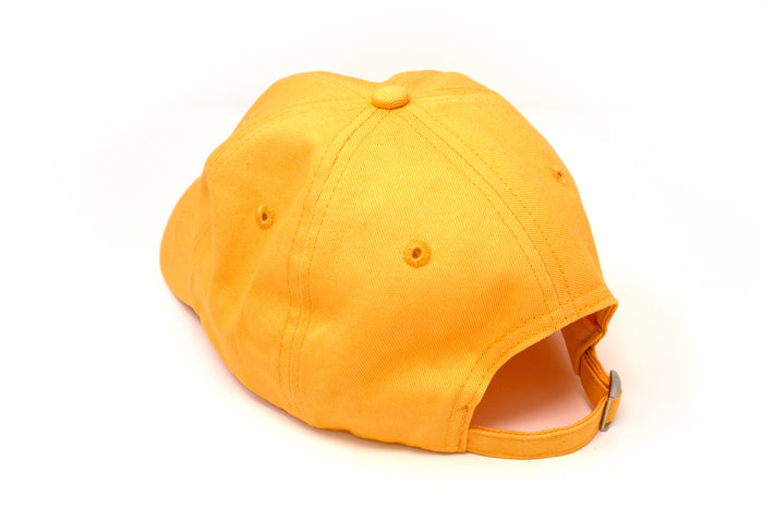 Game Grumps - Furry Friend Arin Dad Hat