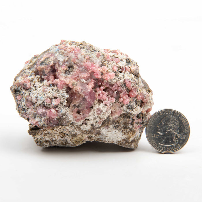 Garnet - Pink, Rough w/ Vesuvianite
