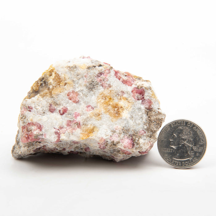 Garnet - Pink, Rough w/ Vesuvianite