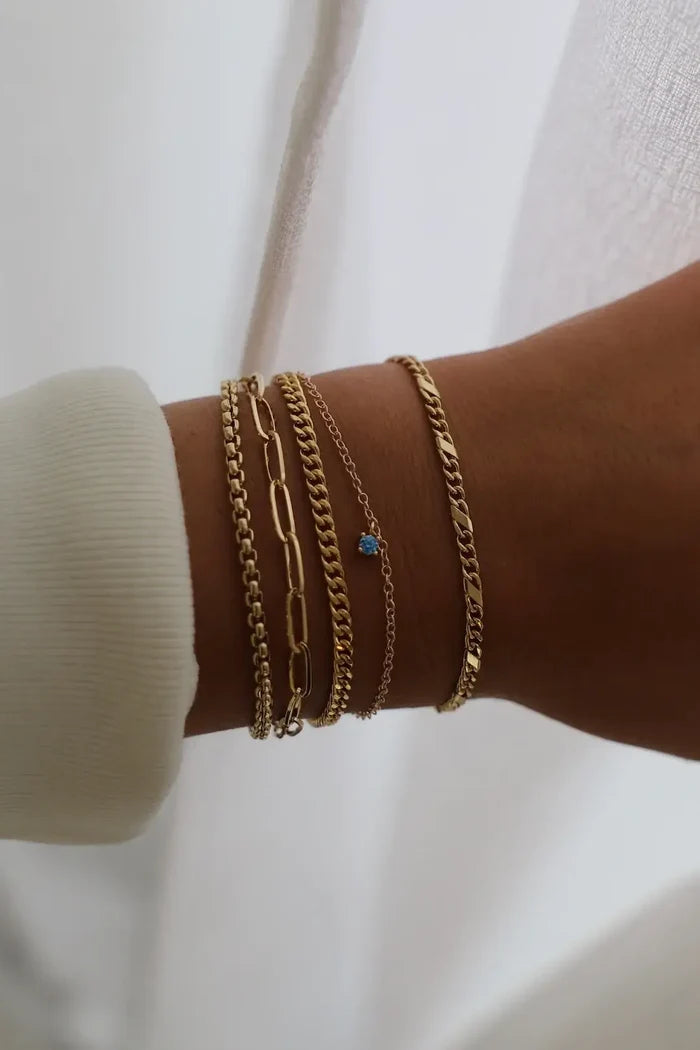 Holland Round Box Chain Bracelet