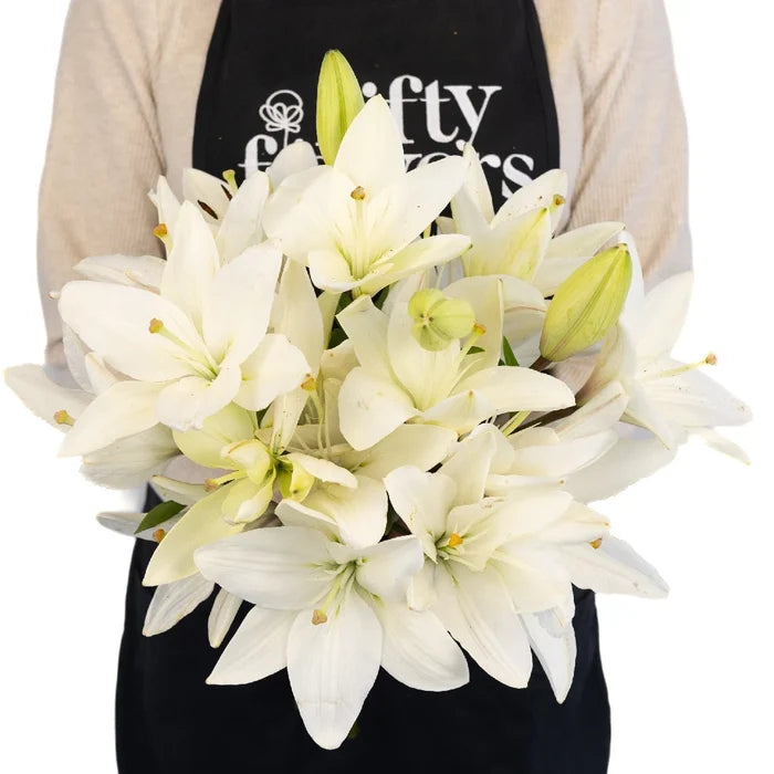 Ivory Hybrid Lily - Image