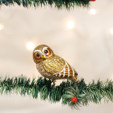 ORNAMENT PYGMY OWL, CLIP
