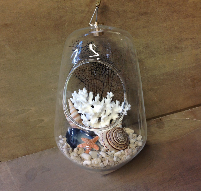 Small / Sundial/Coral