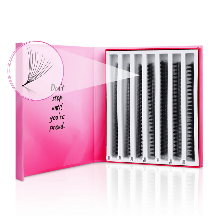10D Mix Express Fans - Paris Lash Academy