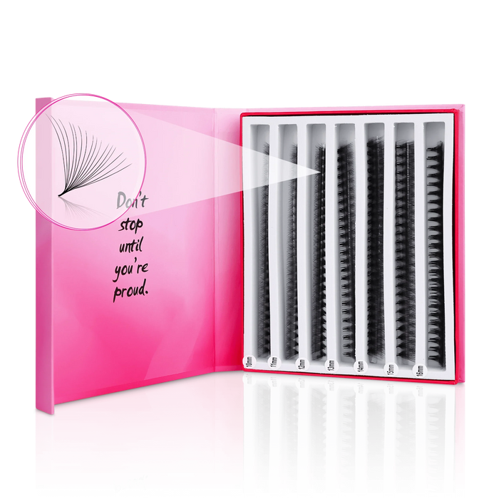 16D Mix Express Fans - Paris Lash Academy