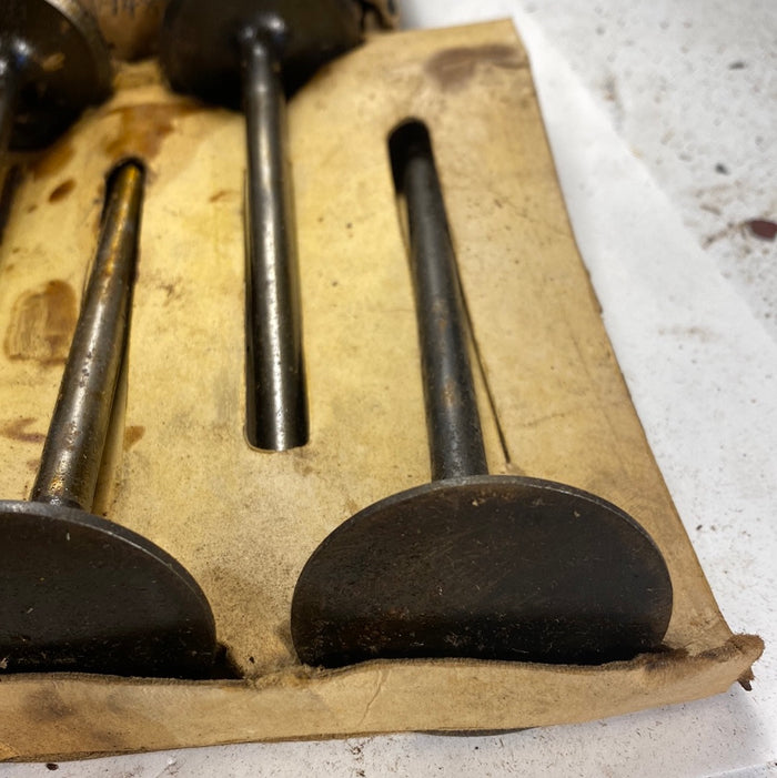 1954-1958 Chevrolet 6 cylinder intake valves x6 NOS 3695455