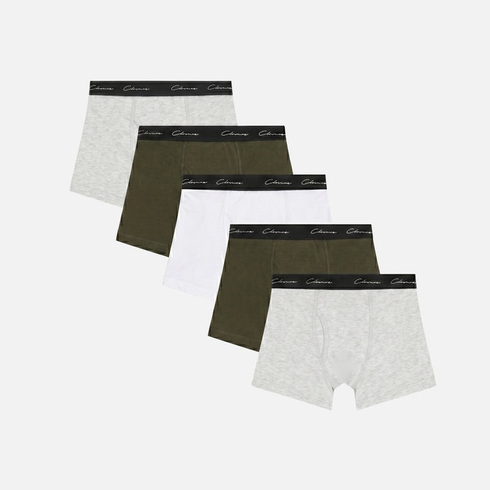 5-Pack Classic Boxer Briefs | Khaki Multi