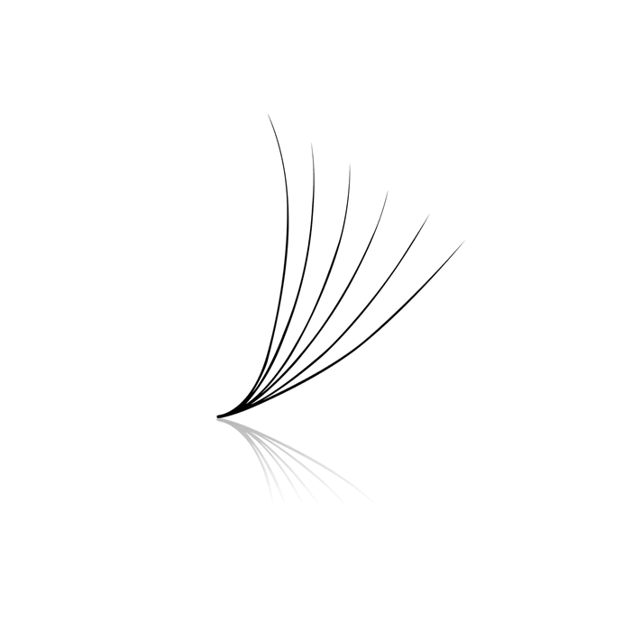 6D ProMade Loose Fans - 0.07 - 475-530 Fans - Paris Lash Academy