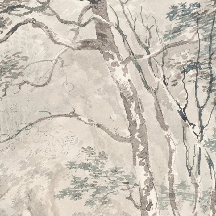A Waterfall by Turner, 1795