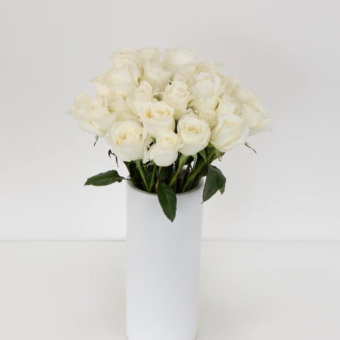 Akito White Bulk Rose Vase - Image