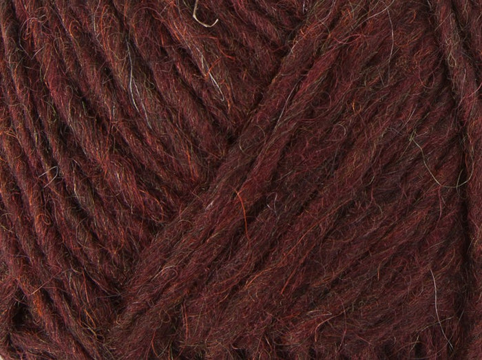 Sheep Sorrel 1237