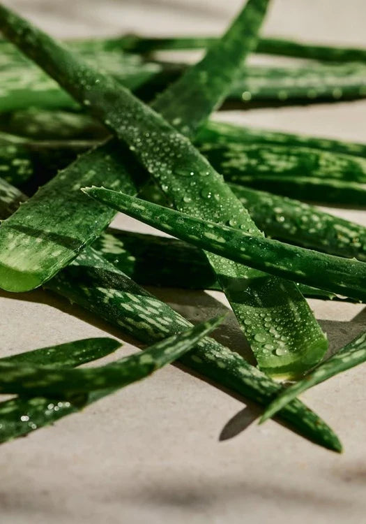 Aloe Calming Toner