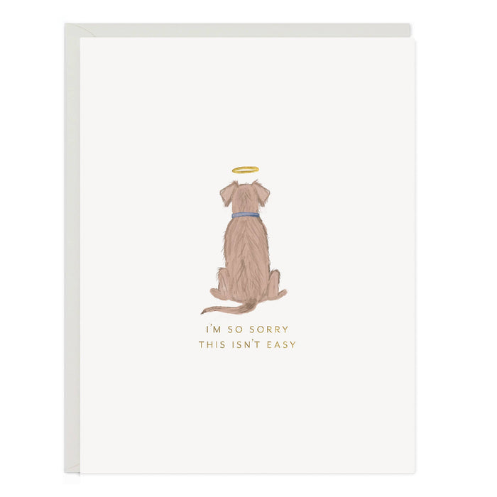 A sympathy card featuring an illustration of a dog with a halo and the text 'I'm so sorry this isn't easy' on a blank background.