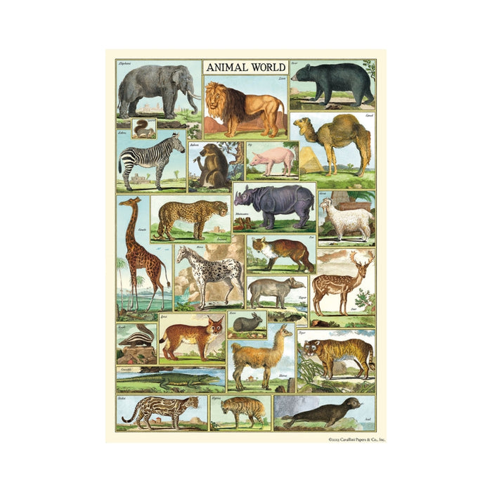 Animal World Wrap Sheet - Cavallini & Co.