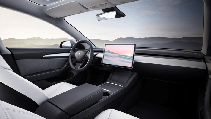 Anti-Virus Tesla Navigation Screen + Door Handle Protector - The Kare Lab