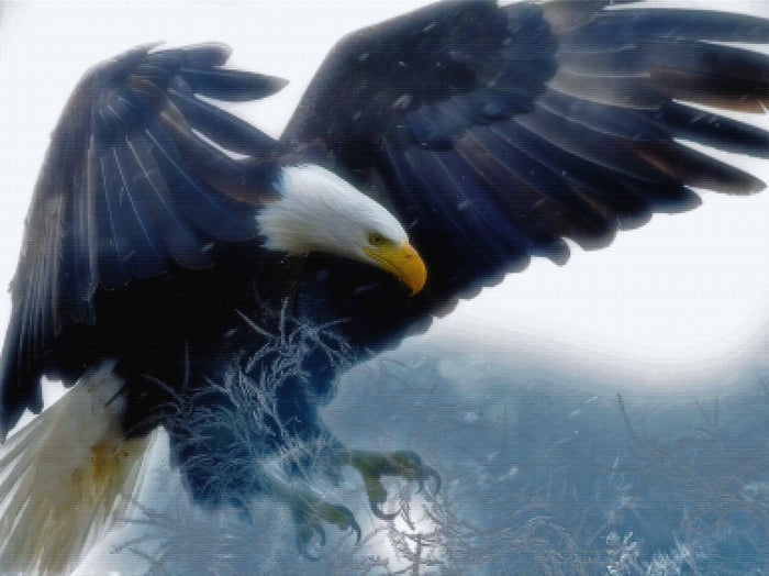 Arctic Eagle