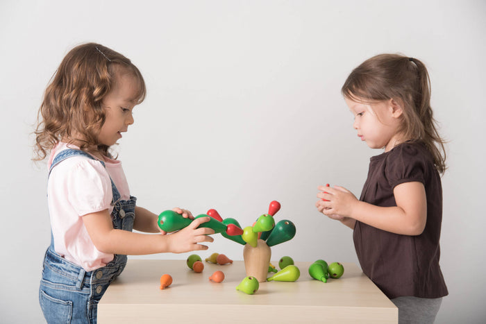 Balancing Cactus - Wood Toy