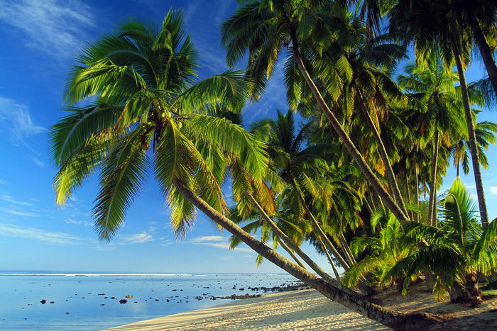 Beach Of Paradise
