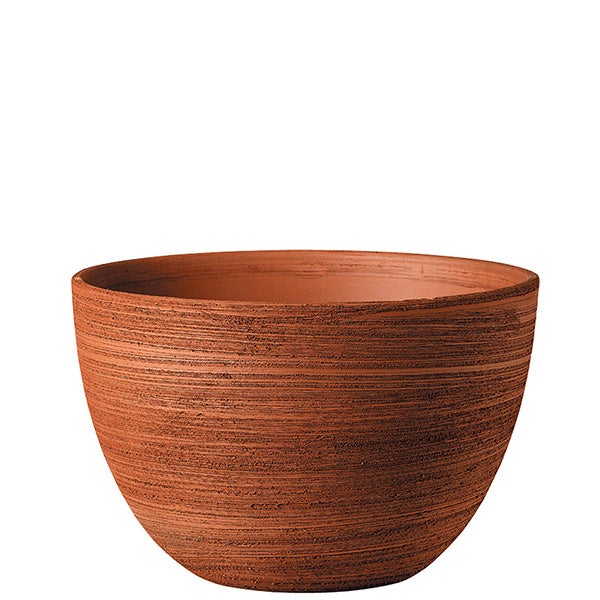 Bell Azalea Scratch cm. 33 ( 13")