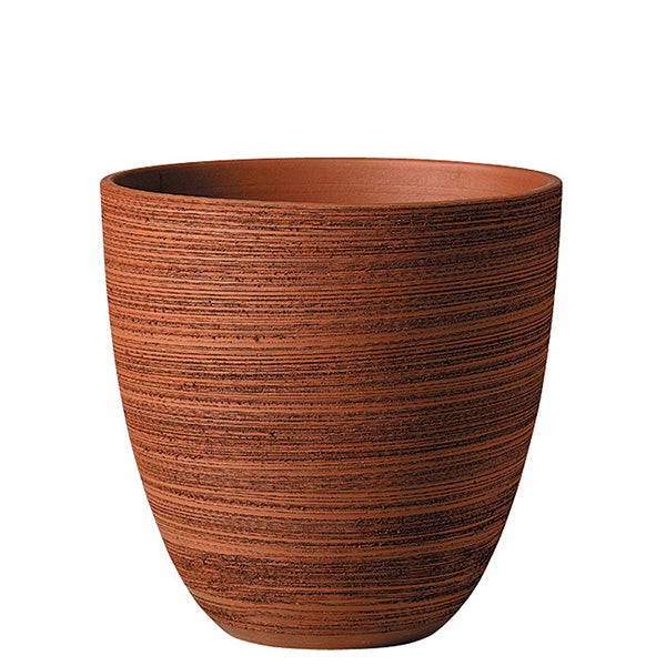 Bell Standard Scratch cm. 34 ( 13.4")