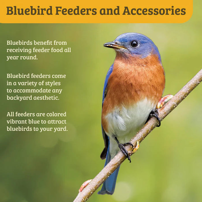 Birds Choice Bluebird Feeder Flower Shape for Mealworms and Dried Fruit