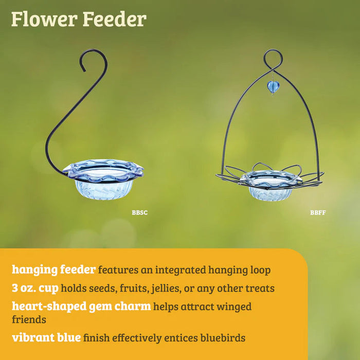 Birds Choice Bluebird Feeder Flower Shape for Mealworms and Dried Fruit