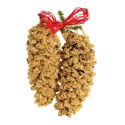 BIRDSEED: PAIR OF PINECONES