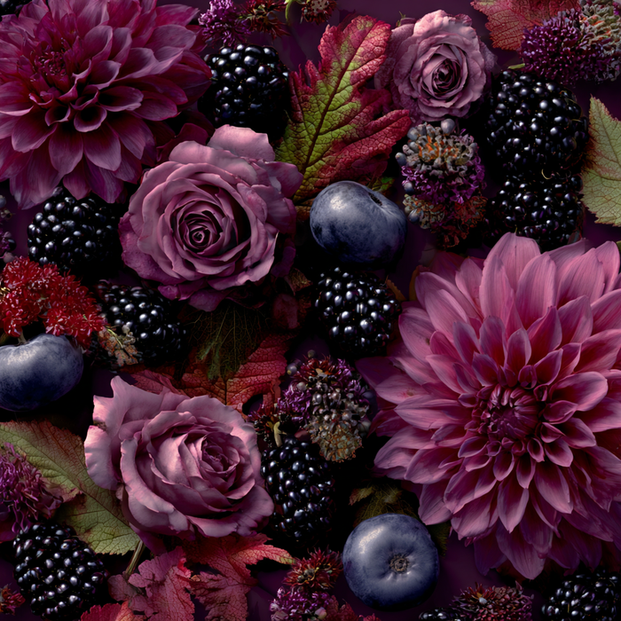 Blackberry Dahlia Fragrance Oil