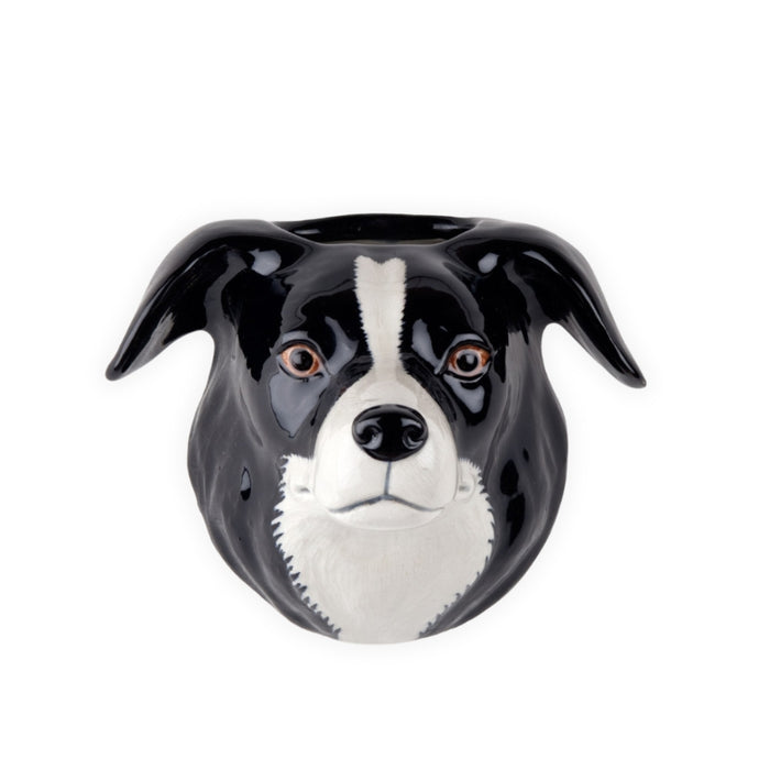Wall Vase - Border Collie