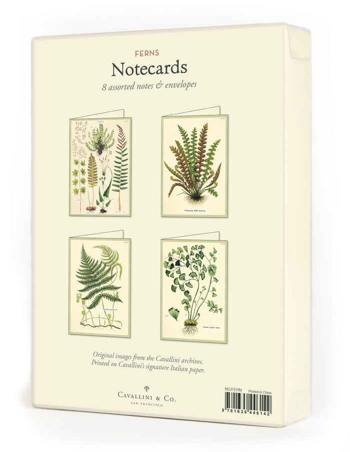 BOXED NOTECARDS ASTD FERNS