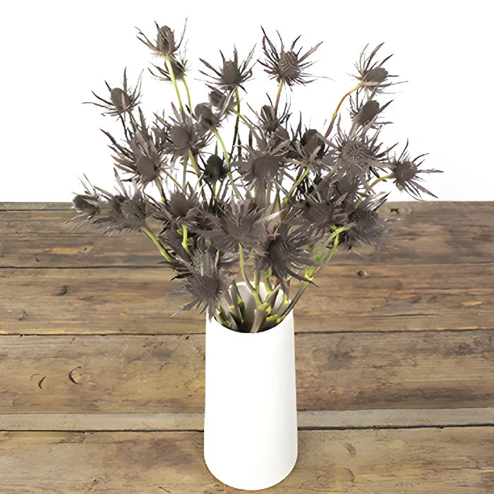 Brown Tinted Thistle Wholesale Flower In a vase