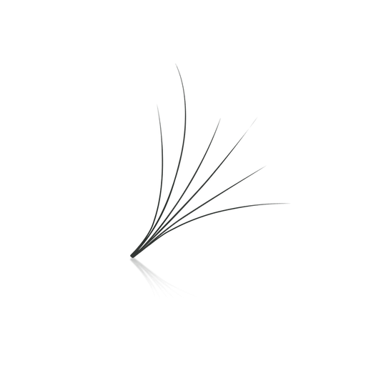 Camellia 6D ProMade Fans - 0.07 - Paris Lash Academy