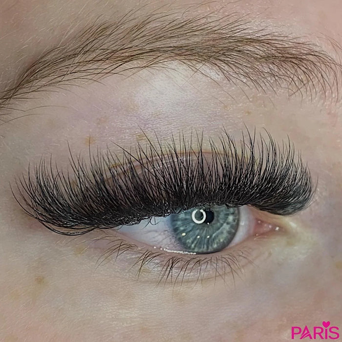 Camellia 6D ProMade Fans - 0.07 - Paris Lash Academy