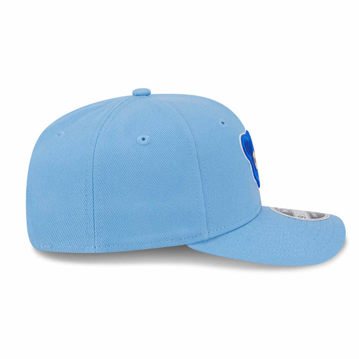 Chicago Cubs 1969 Bear 9SEVENTY Stretch Snap Adjustable Cap