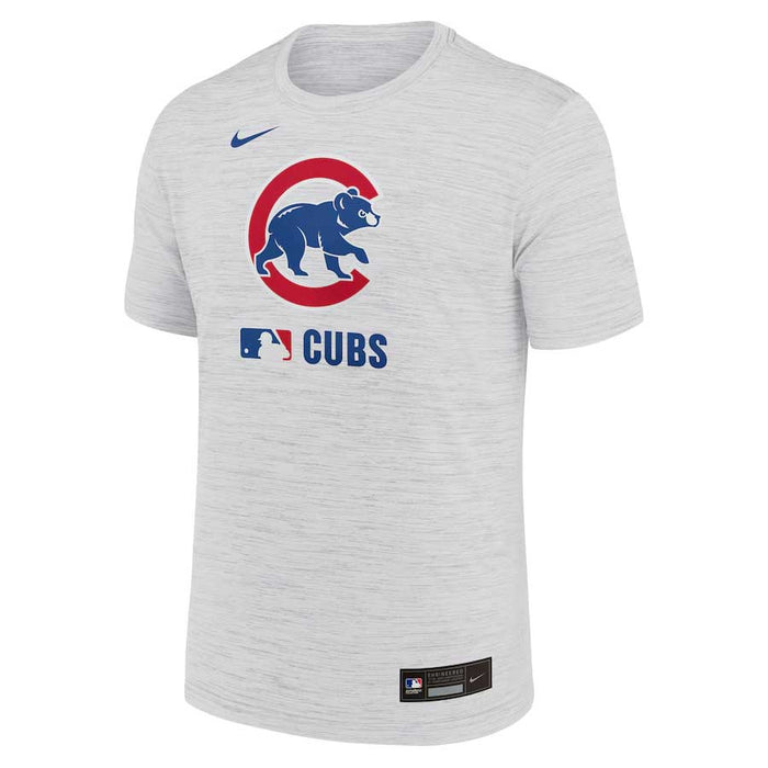 Chicago Cubs 2025 Nike Authentic Collection Grey Velocity Dri Fit T-Shirt