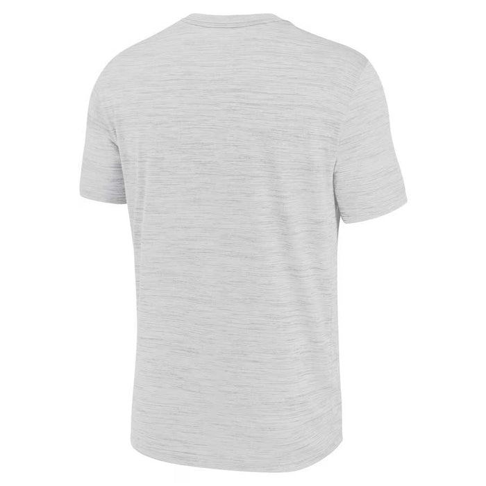 Chicago Cubs 2025 Nike Authentic Collection Grey Velocity Dri Fit T-Shirt