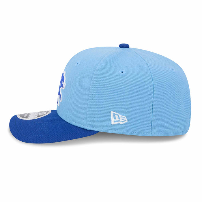 Chicago Cubs Spring Training Bear 9SEVENTY Stretch Snap Adjustable Cap