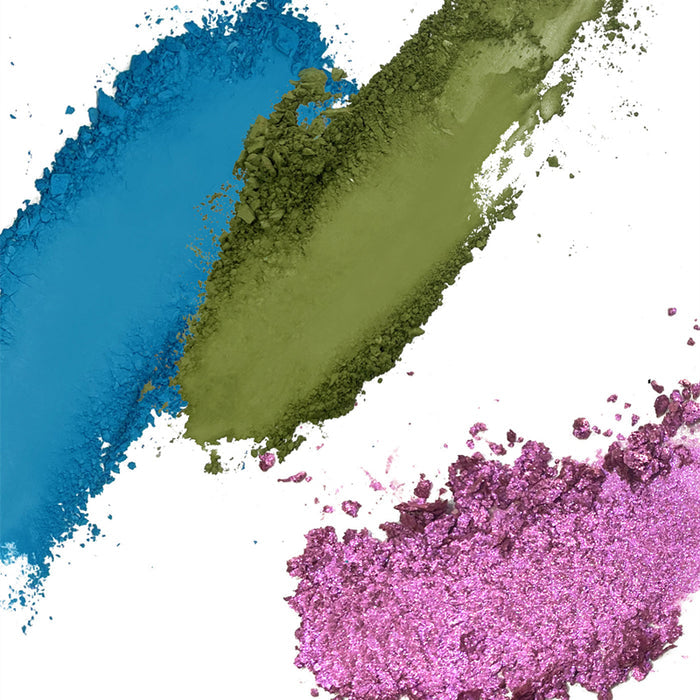 CHOIZ BEAUTY Plant Series Phalaenopsis 12-Color Eyeshadow Palette T3839