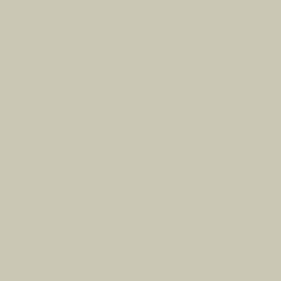 CSP-130: Doily  a paint color by Benjamin Moore avaiable at Clement's Paint in Austin, TX.
