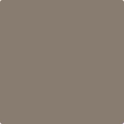 CSP-195: Porcini  a paint color by Benjamin Moore avaiable at Clement's Paint in Austin, TX.