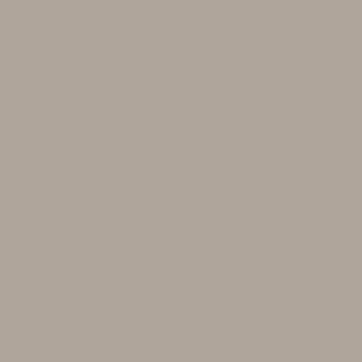CSP-200: Quicksand  a paint color by Benjamin Moore avaiable at Clement's Paint in Austin, TX.
