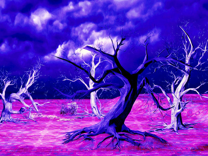 Dancing Trees