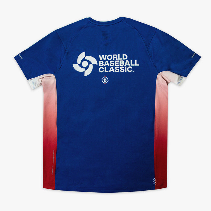 Blue Diamond Tech Vented Puerto Rico graphic tee — back view