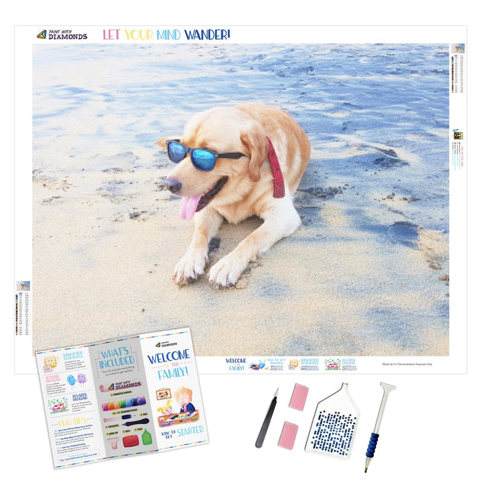 Dog At The Beach