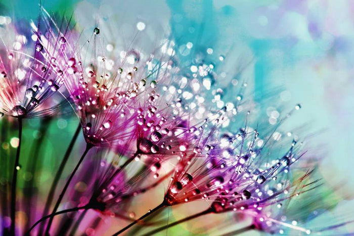Droplets