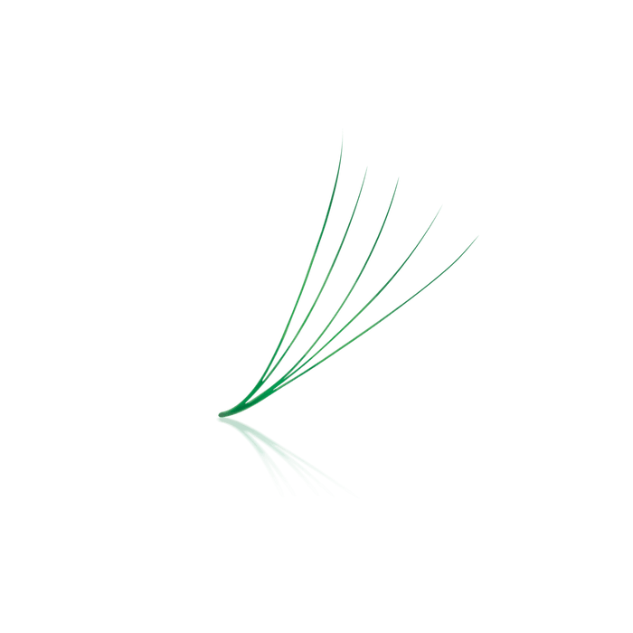 Emerald Green 5D ProMade Loose Fans - 0.07 - 475-530 Fans - Paris Lash Academy